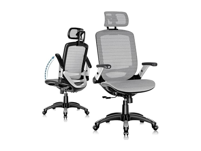 GABRYLLY GYG01 Ergonomic Office Chair - Image 1