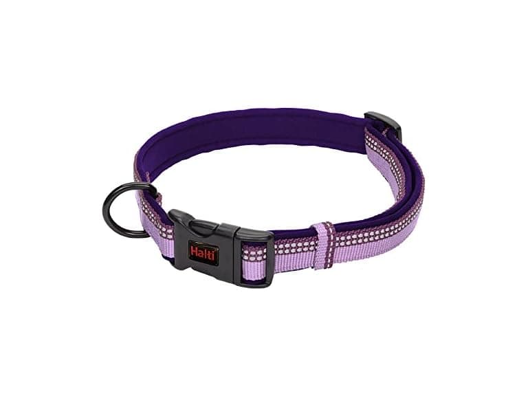 HALTI Comfort Collar - Nylon and Neoprene-Padded - Image 1