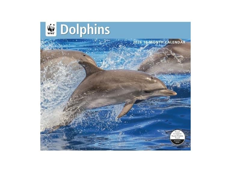 Carousel Calendars, Dolphins WWF 2026 W - Image 1