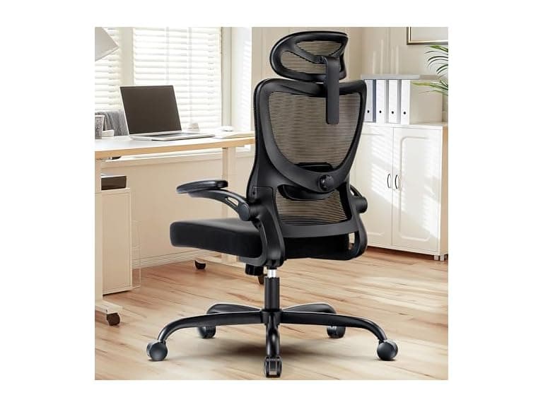HUANUO W1101 Ergonomic Office Chair - Image 1
