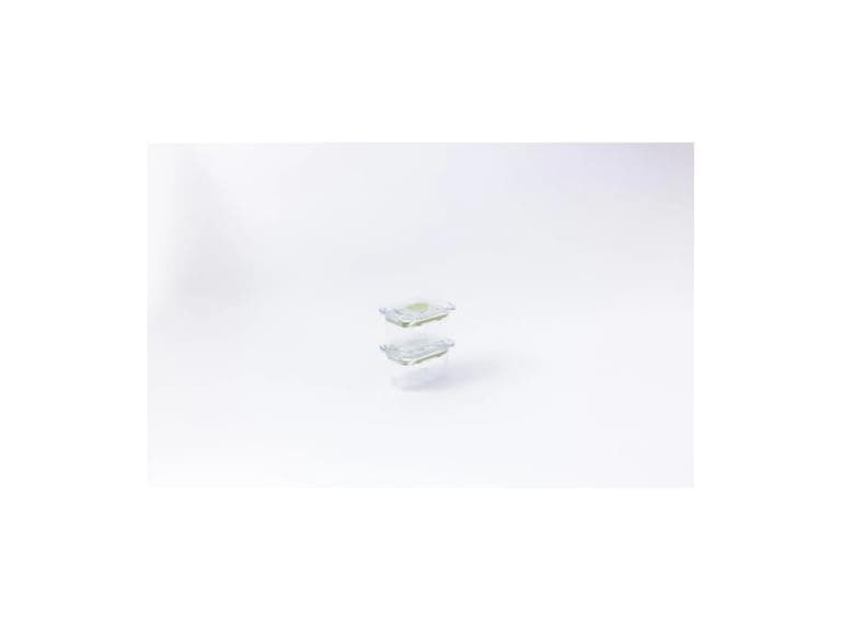 Latchlok 0.9 Cup Food Storage Containers, Set of 2 - Sage - Image 1