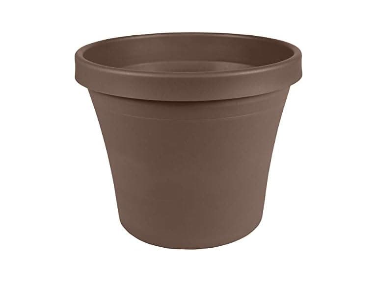 Bloem Terra Pot Planter - 6" - Chocolate - Image 1