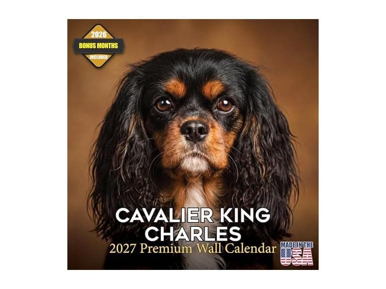 Cavalier Calendar 2026 2027, 16-Month Cavalie - Image 1