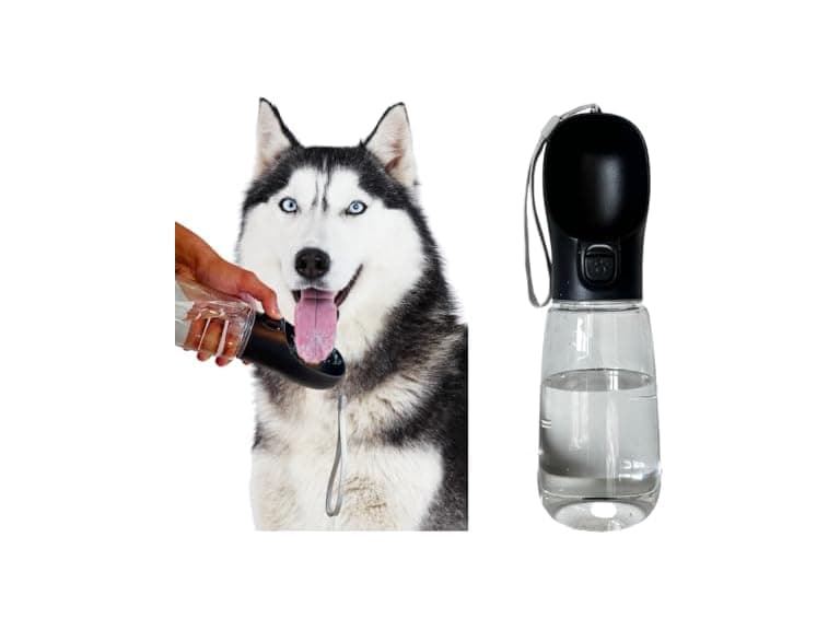 Generic (2 Pack) Dog Water Bottle - Image 1
