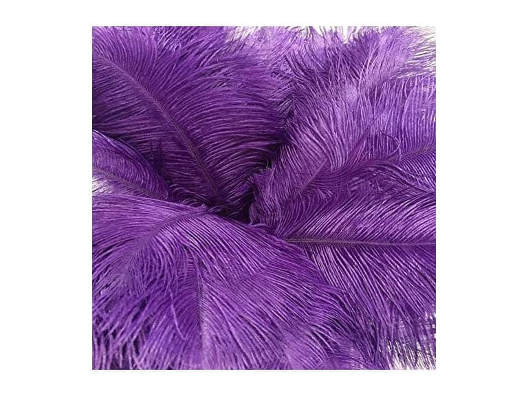 AABABUY 10pcs Ostrich Feathers Purple - Image 1