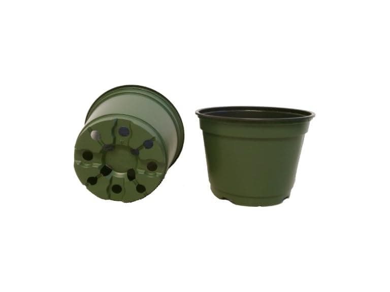Seed Kingdom 6" Plastic Pots 100pk - Image 1