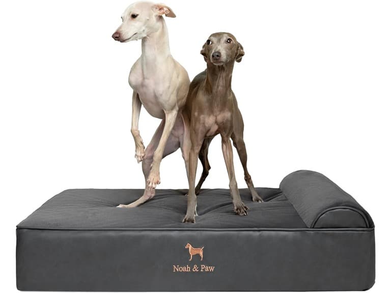 NOAH & PAW Orthopedic Dog Beds- Large - Image 1
