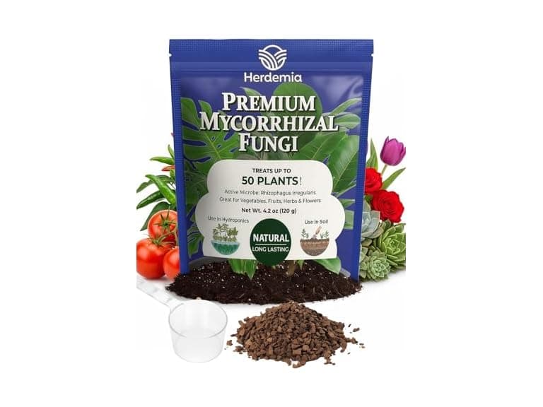 Herdemia Mycorrhizal Fungi - Image 1