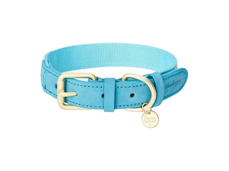 Blueberry Pet 3 Patterns Southwestern Magical - Image 1