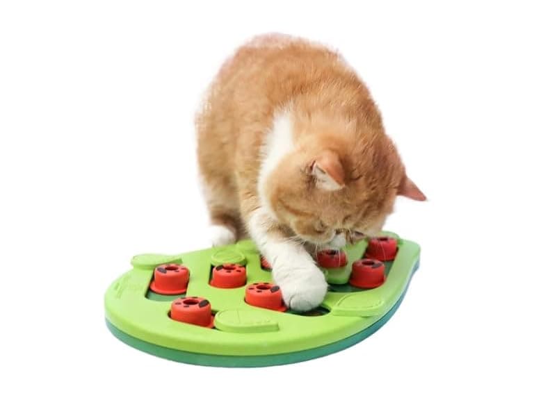 RXJPASD Cat Treat Puzzle and Scratch Board Combo Toy - Image 1