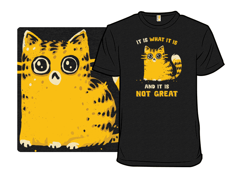 It Is Not Great - Image 1