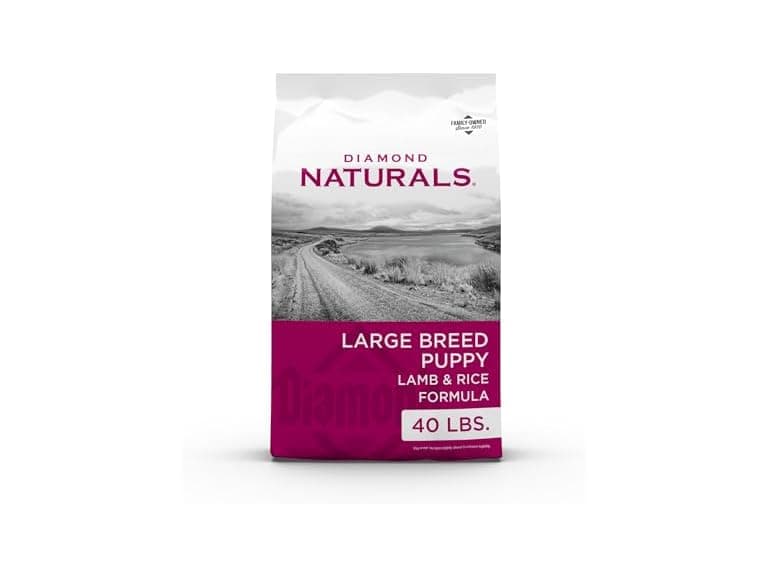 Diamond Naturals Large Breed Puppy 40 lb - Image 1
