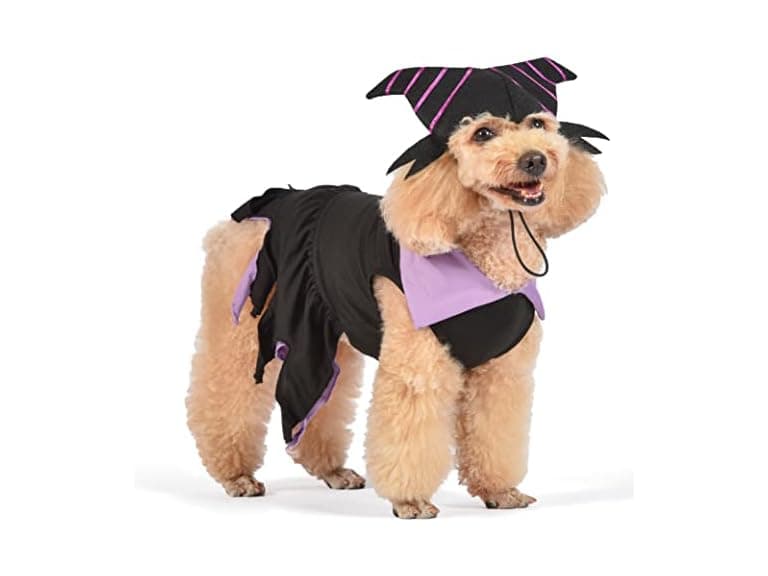 Disney for Pets Halloween Disney Villains Maleficent - Image 1