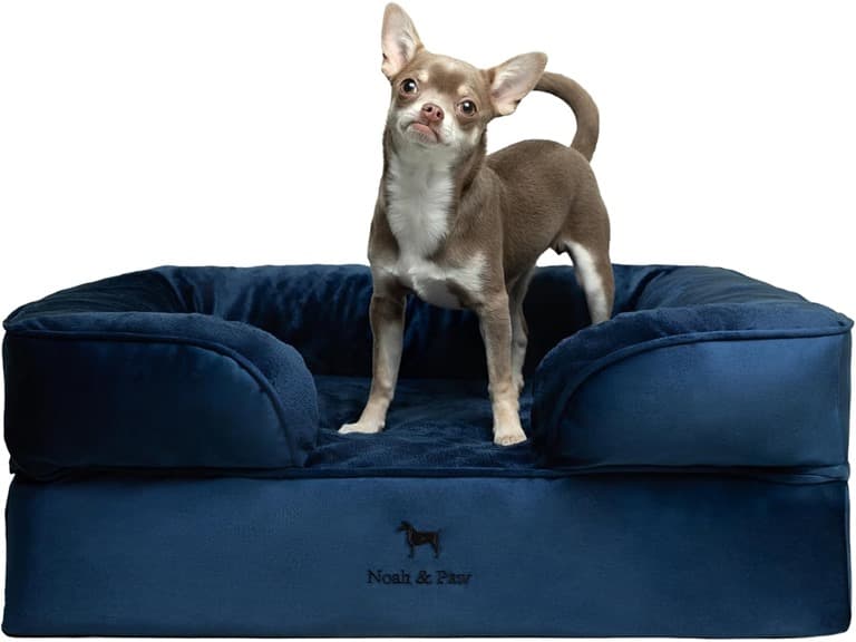 NOAH & PAW Dog/Cat Sofa- Medium - Image 1