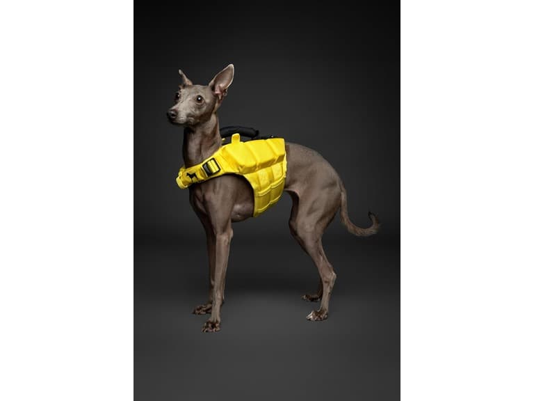 NOAH & PAW Dog Life Jacket- Small - Image 1