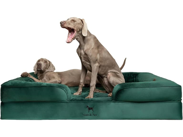 NOAH & PAW Dog/Cat Sofa- XXLarge - Image 1