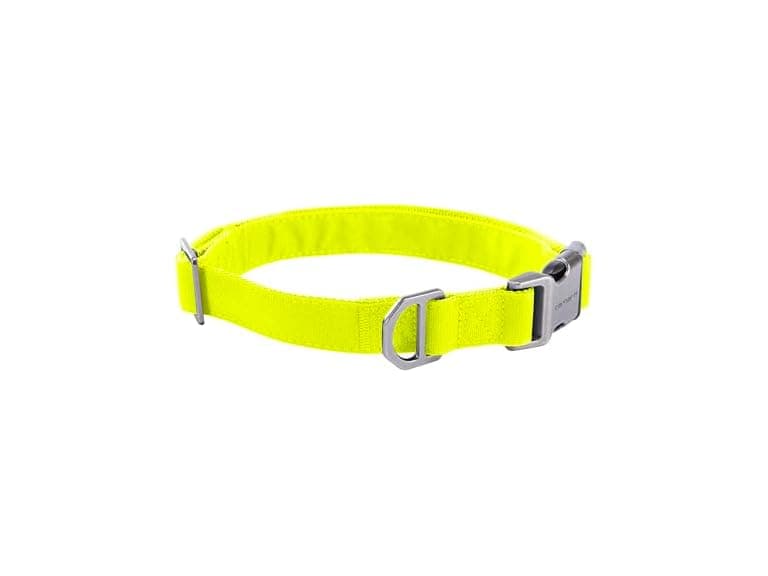 Carhartt Field Dog Collar, Fully Adjustable - Image 1