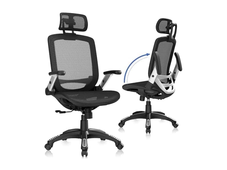 GABRYLLY GYB01 Ergonomic Mesh Office Chair - Image 1