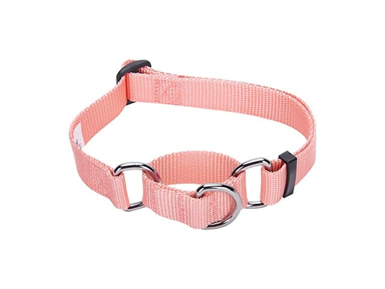 Blueberry Pet Essentials Martingale Safety Collar - Image 1