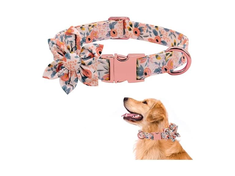 DALUZ Girl Dog Collar with Detachable Flower, - Image 1