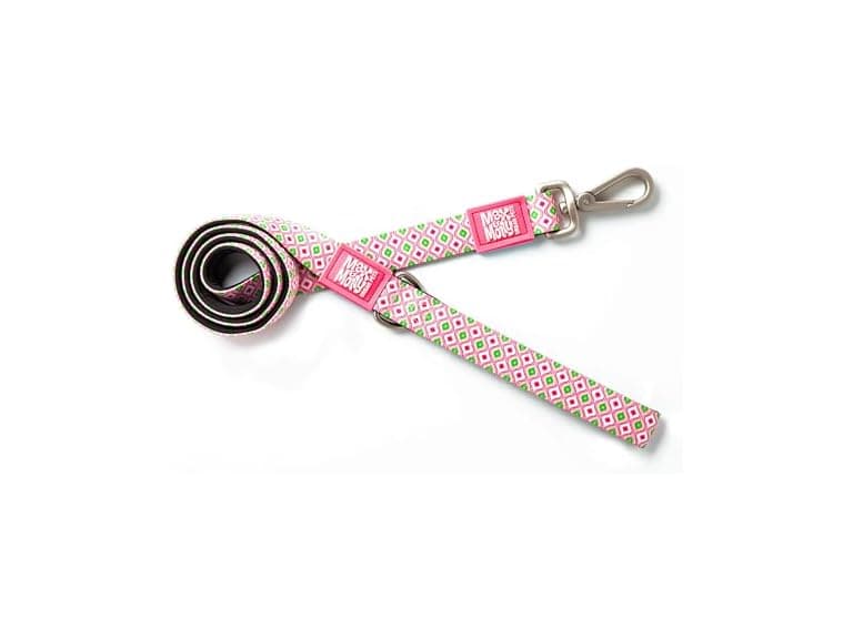 Max & Molly Classic Dog Leash - Image 1