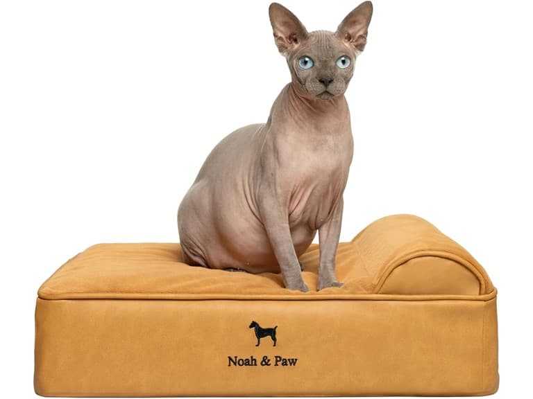 NOAH & PAW Orthopedic Dog Beds- Small - Image 1