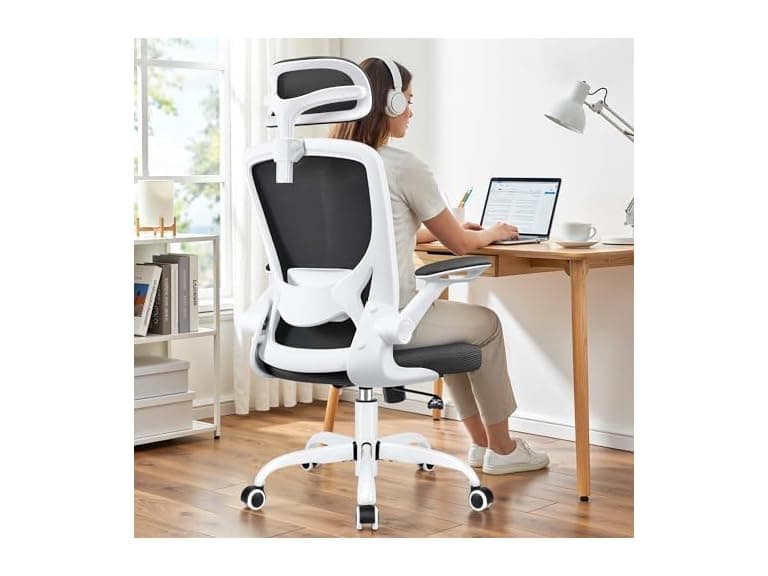Bestfair W0893 Ergonomic Office Chair (Open Box) - Image 1