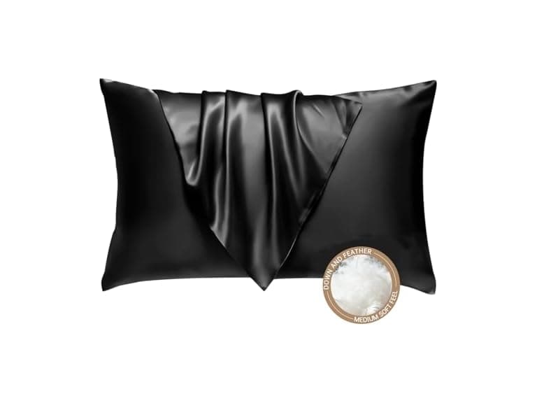 BHZ Black Satin Goose Feather Queen Pillow - Image 1