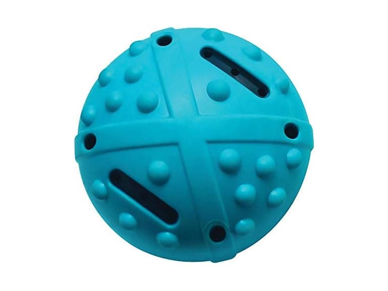 Champion Companion TPR Squeaky Bouncing Ball - Image 1