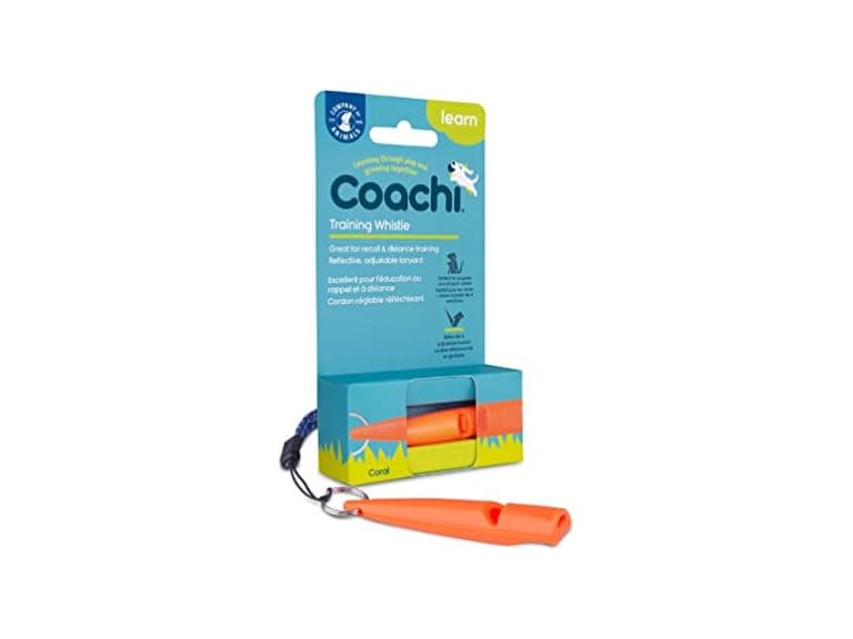 Company of Animals Coachi Training Whistle | Coral - Image 1