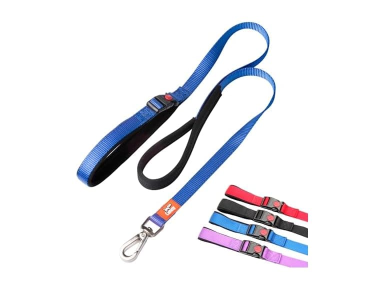 Canny Connect Leash - Anti Pull Dog Leash, Blue - Image 1