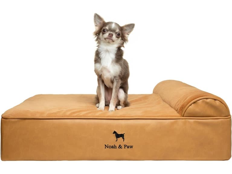 NOAH & PAW Orthopedic Dog Beds- Medium - Image 1