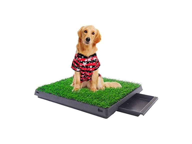 Sandinrayli Indoor Outdoor Dog Puppy Potty Trainer - Image 1