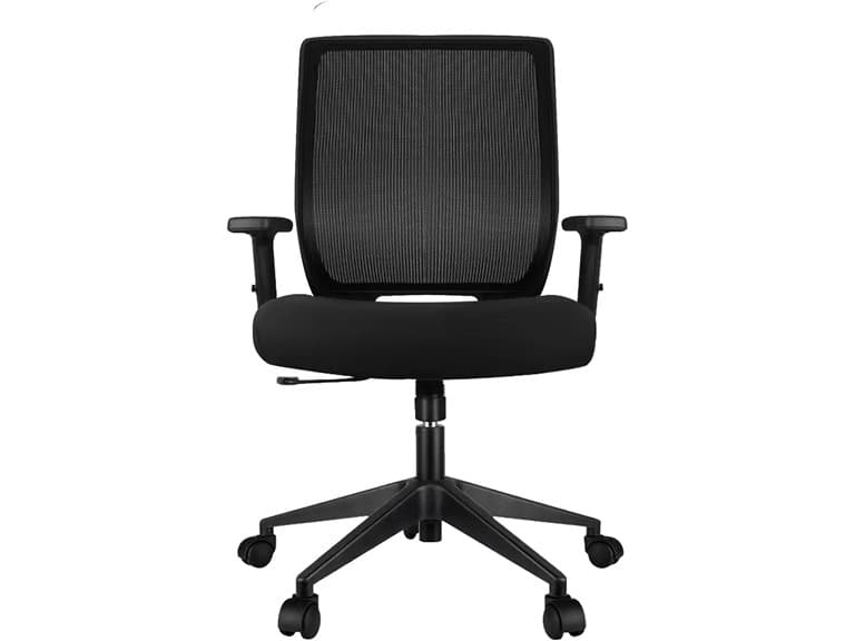 Schwake Ergonomic Office Chair - Image 1