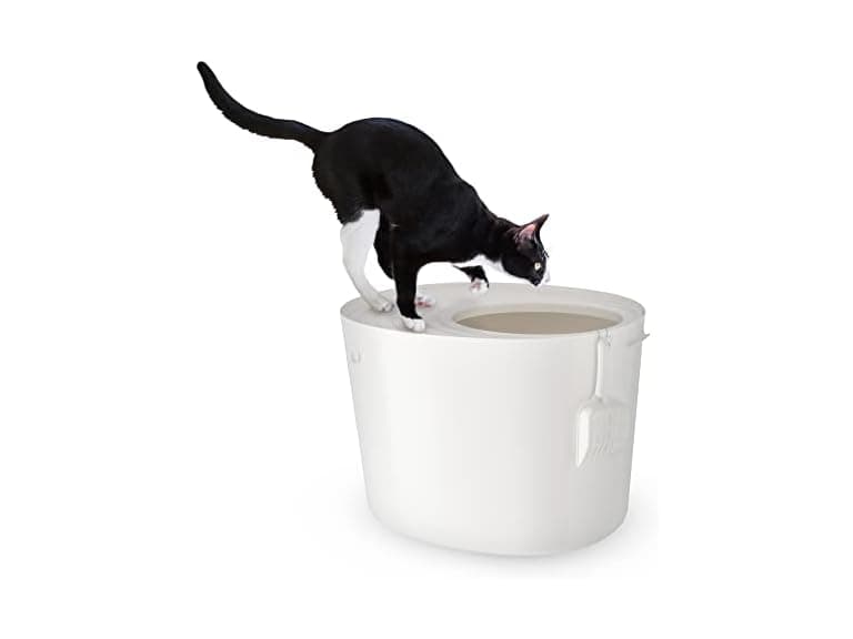 Iris Ohyama, Plastic Litter Box with Top Entr - Image 1