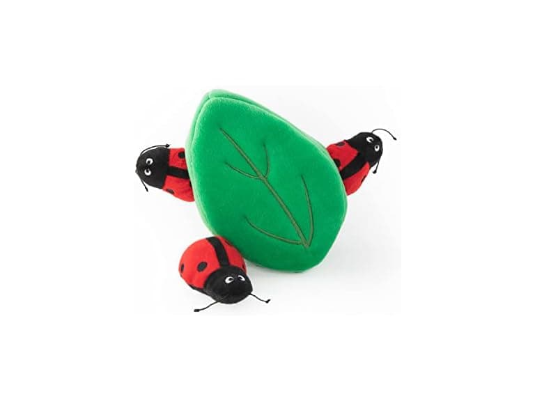 Burrow Ladybugs Leaf - Image 1