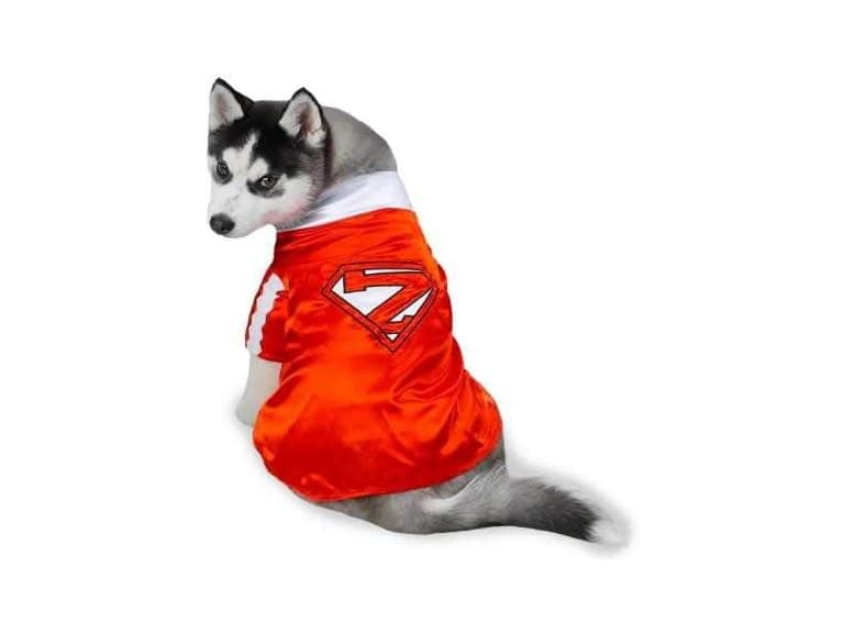 Casual Canine Mighty Mutt Pet Costume Small - Image 1