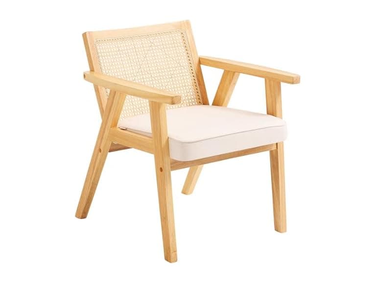 Mid Century Modern Rattan Chair, Upholstered - Image 1