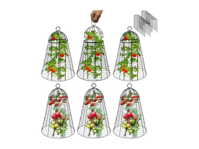 Sapbontchi XL Garden Cloches 6-Pack - Image 1
