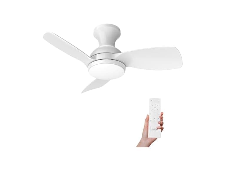 Consciot Ceiling Fan With Lights 30 Inch - Image 1