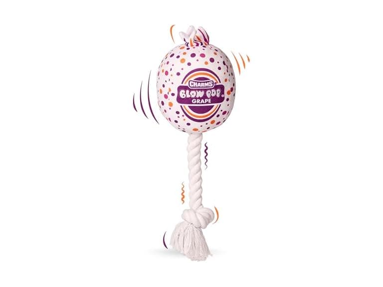 Blow Pop Plush & Rope Dog Toy - Image 1