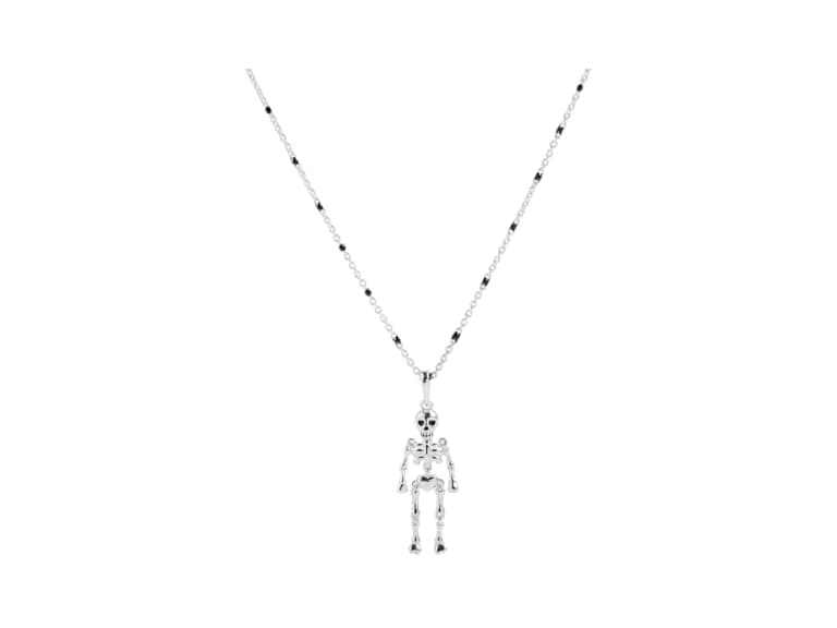 Alex and Ani Skeleton Necklace, Shiny Silver - Image 1