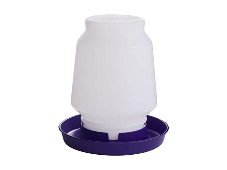 Little Giant Complete Plastic Poultry Fount, Purple - Image 1