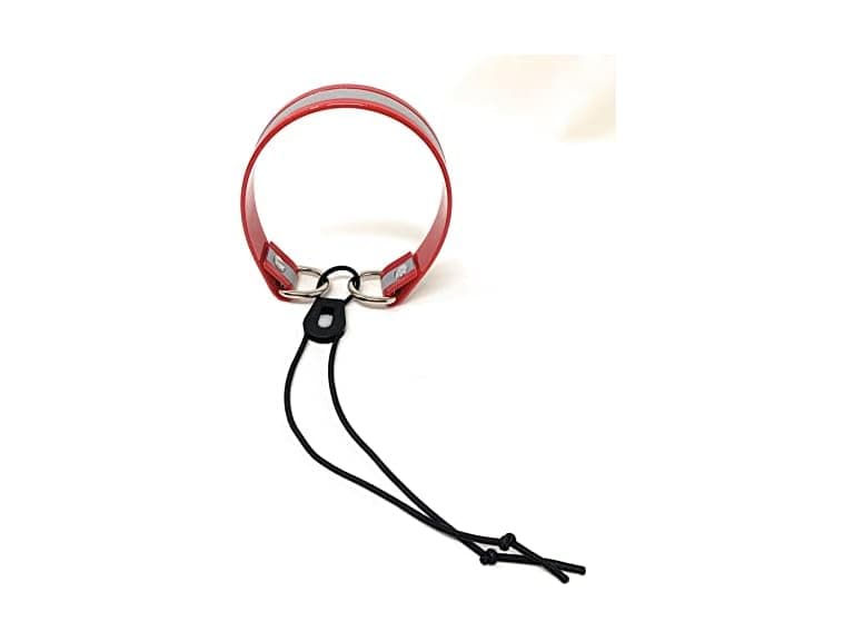 Sparky Pet Co Sparky Pet Co Surefit 1 Inch Bungee Dog - Image 1