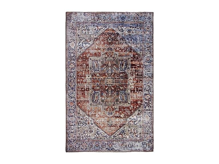 L'Baiet Sasha Coral Distressed 8x10 Area Rug - Image 1