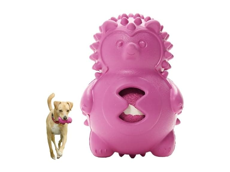 Friends Forever Squeaky Dog Toys with Tennis Ball - Image 1