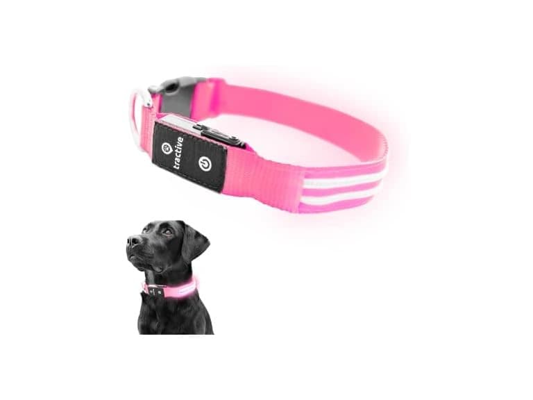 Tractive LED Light Up Dog Collar USB Rechargeable- Pink - Image 1