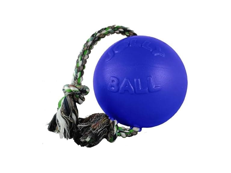 Jolly Pets Romp-N-Roll Ball Color: Blue, Size - Image 1