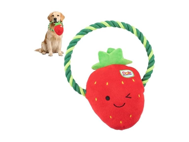 Dole for Pets Dog Rope Toy with Squeakers Strawberry - Image 1