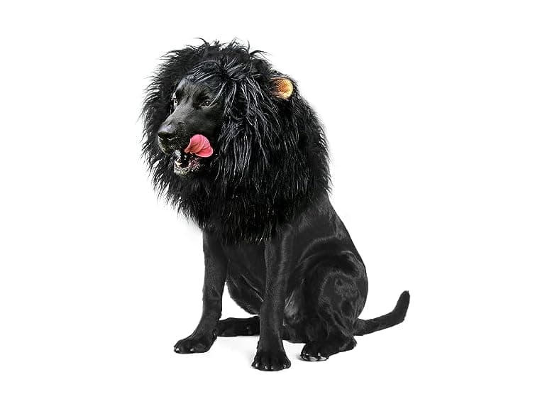 Onmygogo Lion Mane Wig for Dogs(Size M) - Image 1